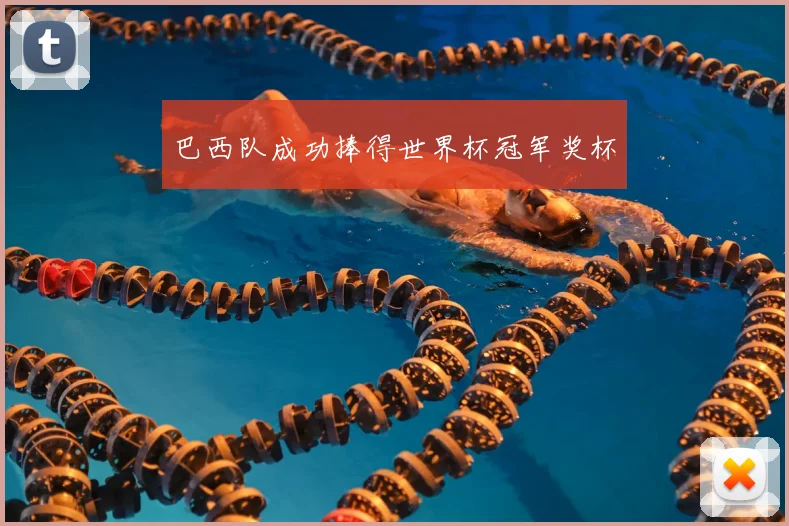 巴西队成功捧得世界杯冠军奖杯