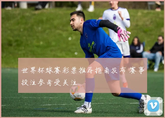 世界杯球赛彩票推荐指南发布 赛事投注参考受关注