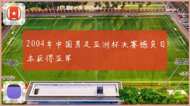 2004年中国男足亚洲杯决赛憾负日本获得亚军